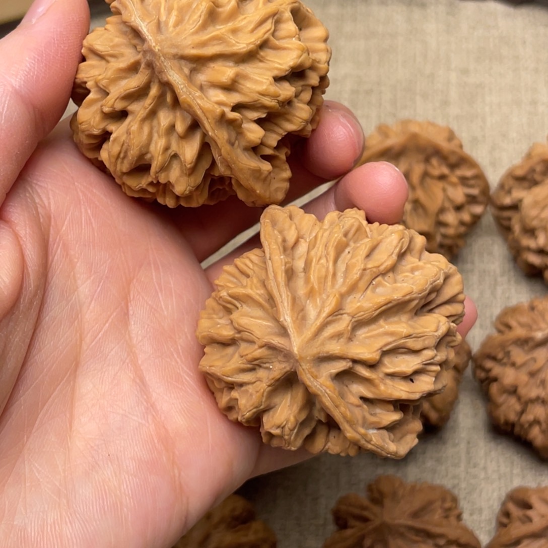 文玩核桃把件秦岭核桃55号