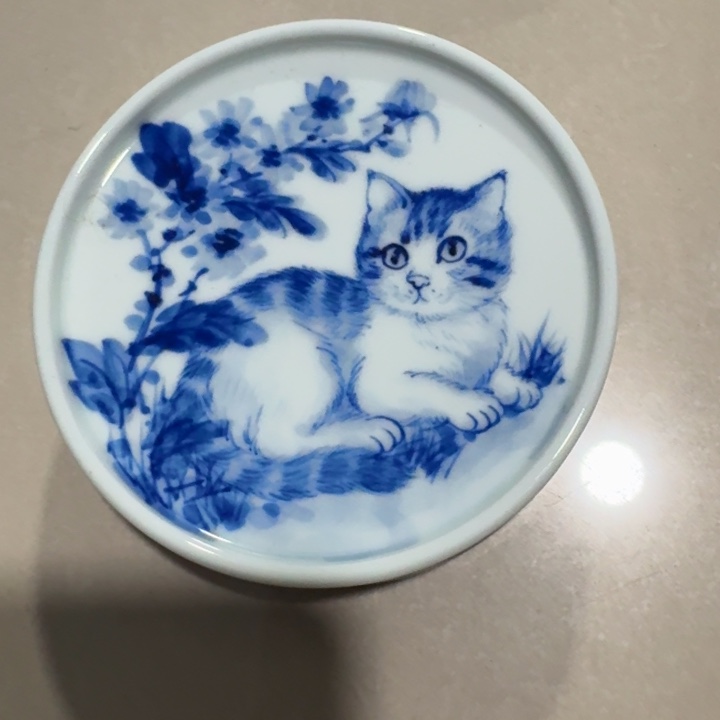 时***落景德镇手工手绘杯