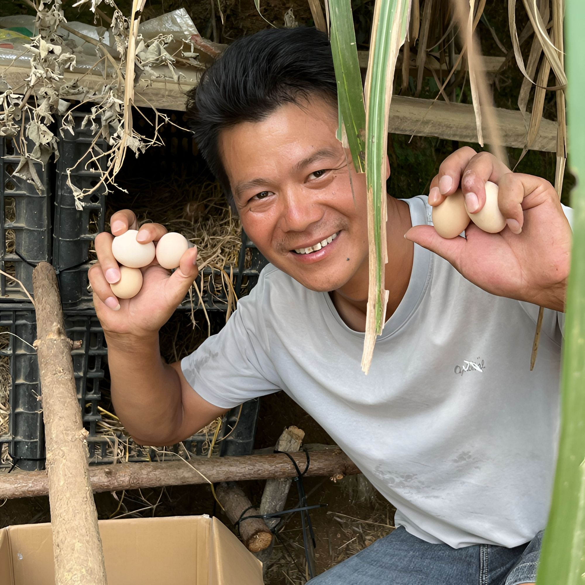 农家散养新鲜土鸡蛋正宗野外蛋适合孕妇