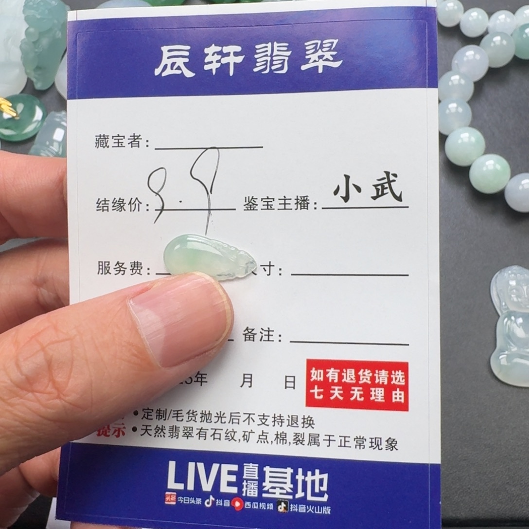 翡翠未镶嵌颈饰   49