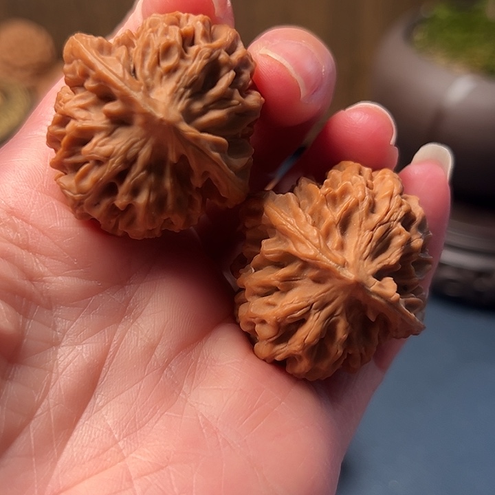 眼：木桃木桃花的颜色