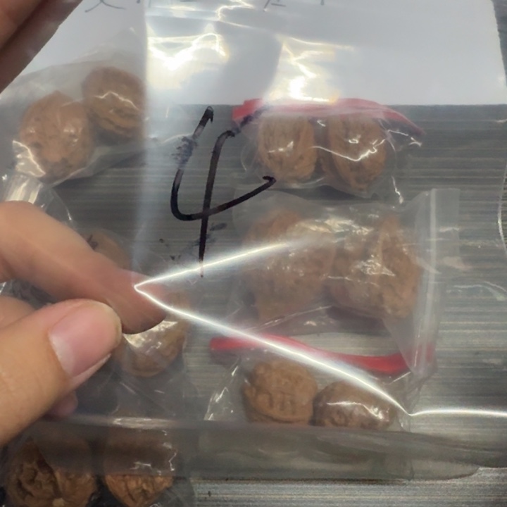 吊坠文玩核桃4号文玩核桃6对