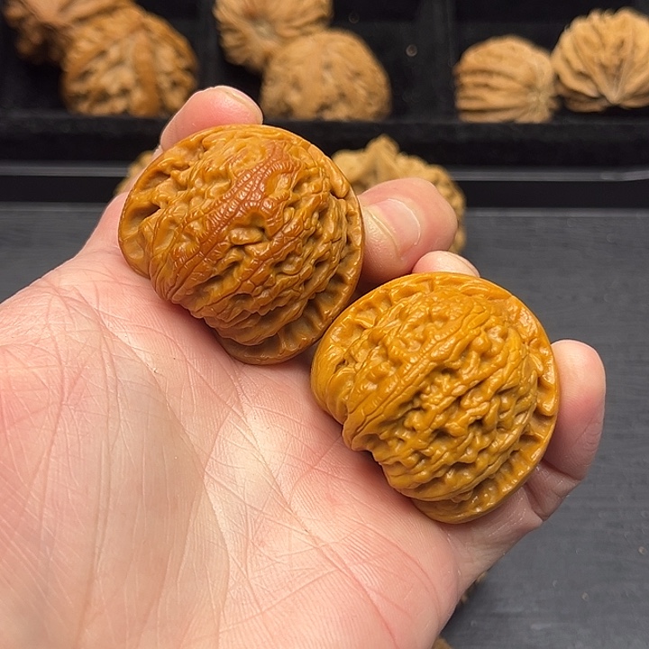 木质类秦岭突突突突突突