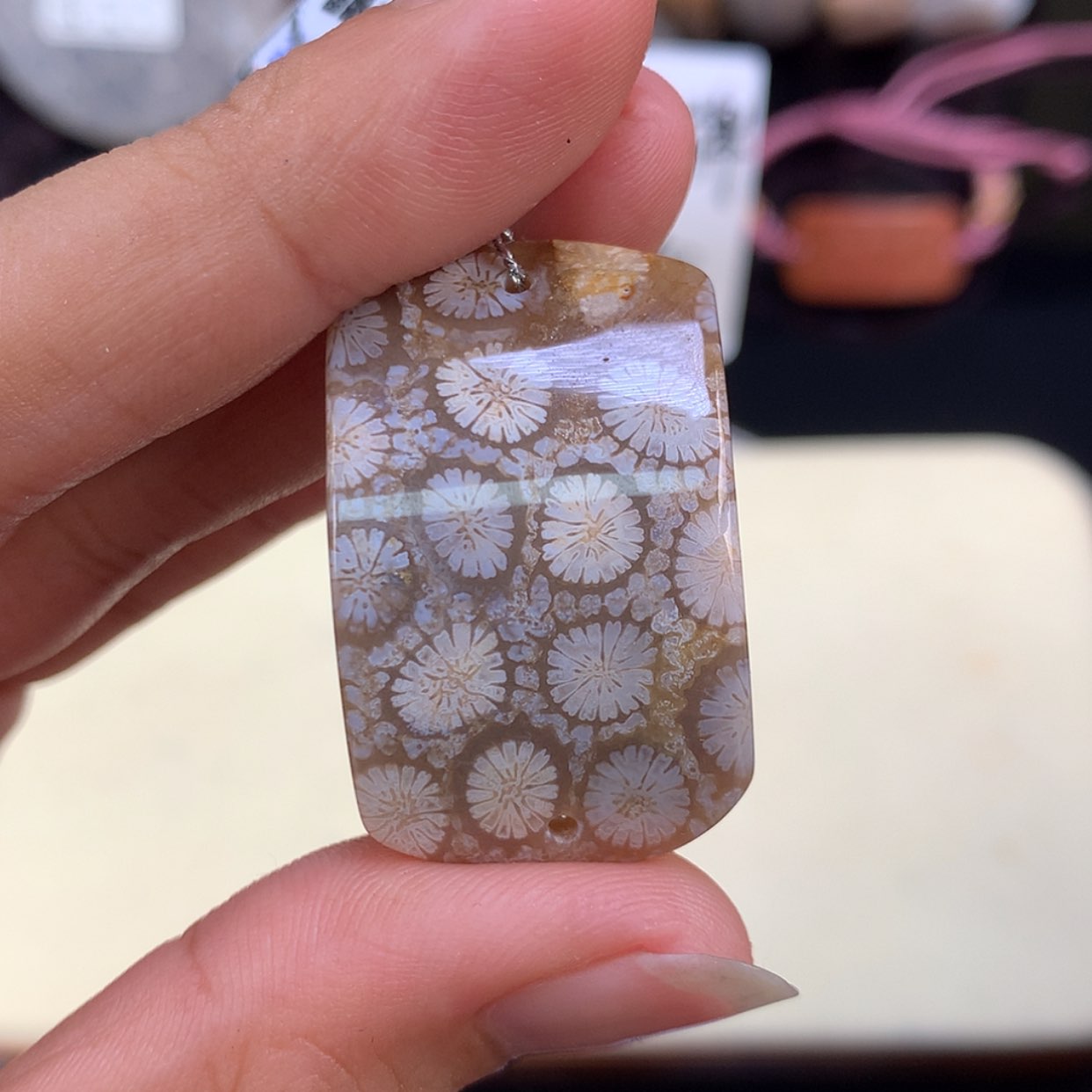 【闪购商品】颈饰未镶嵌硅化珊瑚（珊瑚玉）8号上新