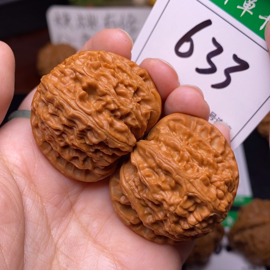 把件文玩核桃633白狮子4.1