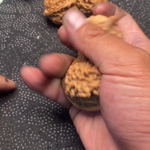 文玩核桃把件官帽3.3