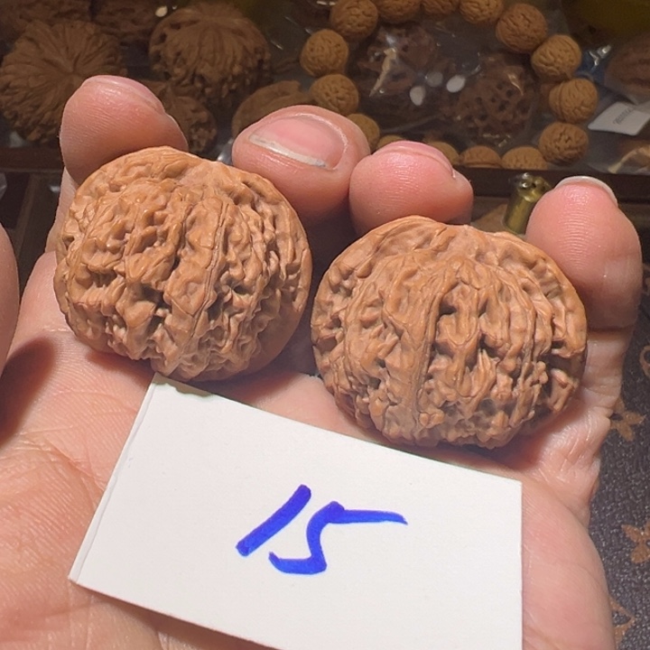 核桃全品无修天下第一矮