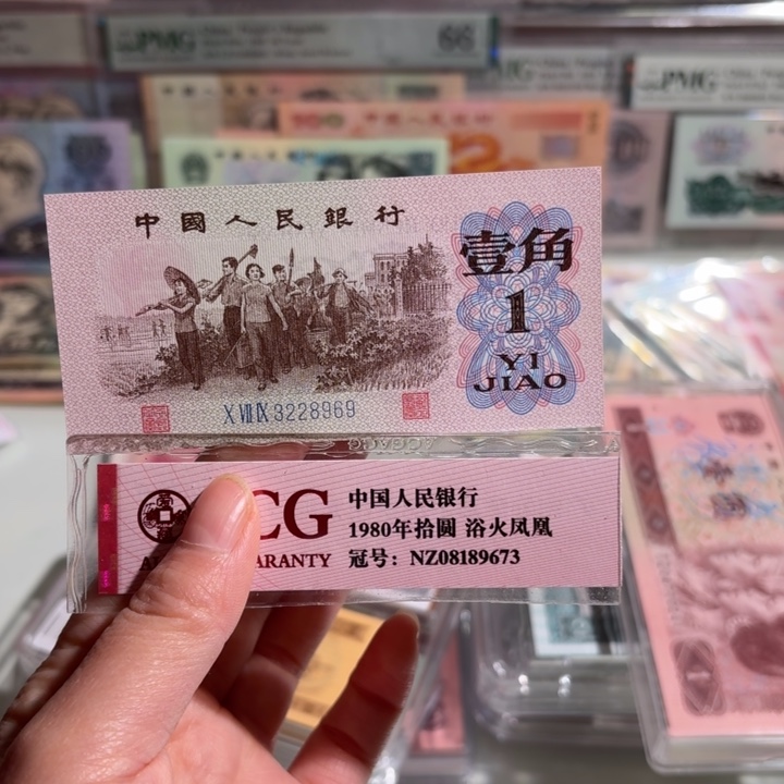 补号0000000000000203