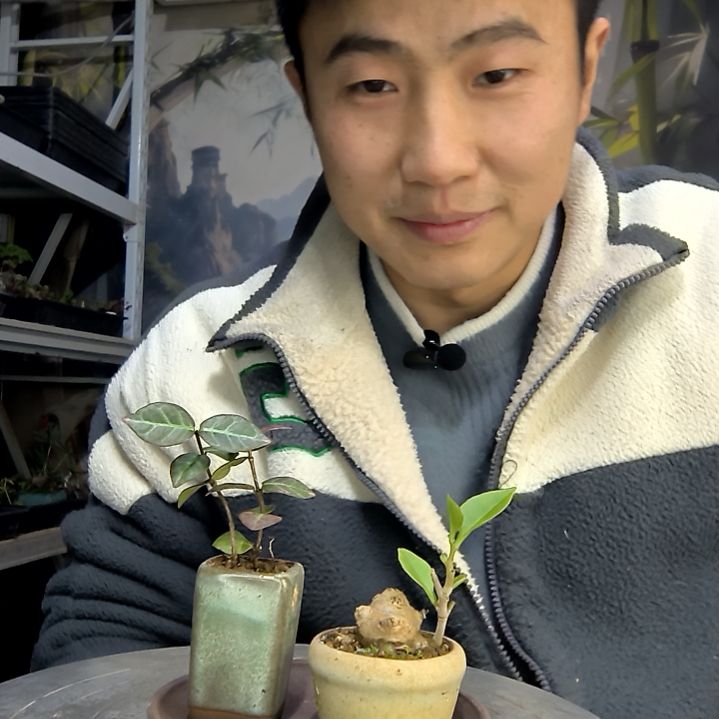 车***生中青园艺一物一拍花161