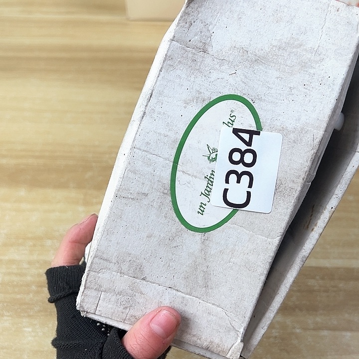 一***堡啊啊啊啊啊啊啊啊啊啊啊啊