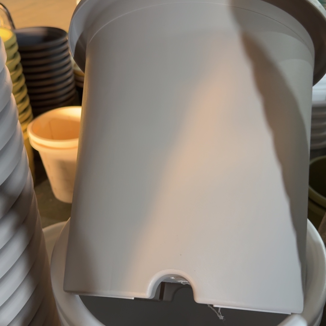 特价8#无拖灰白5个