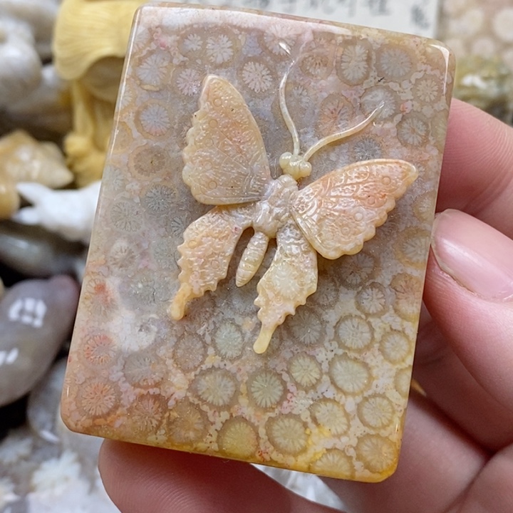 颈饰未镶嵌硅化珊瑚（珊瑚玉）