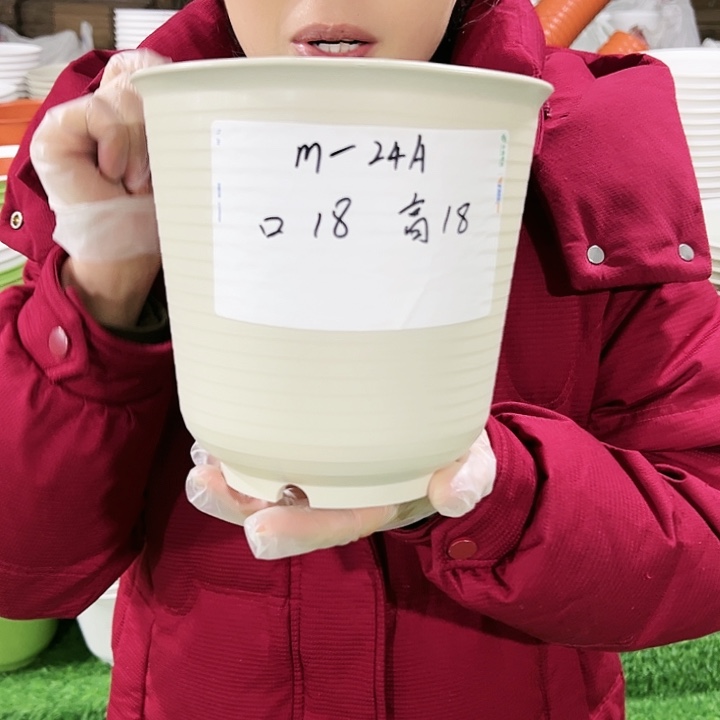 正品高陶口18高18果绿色无托8只