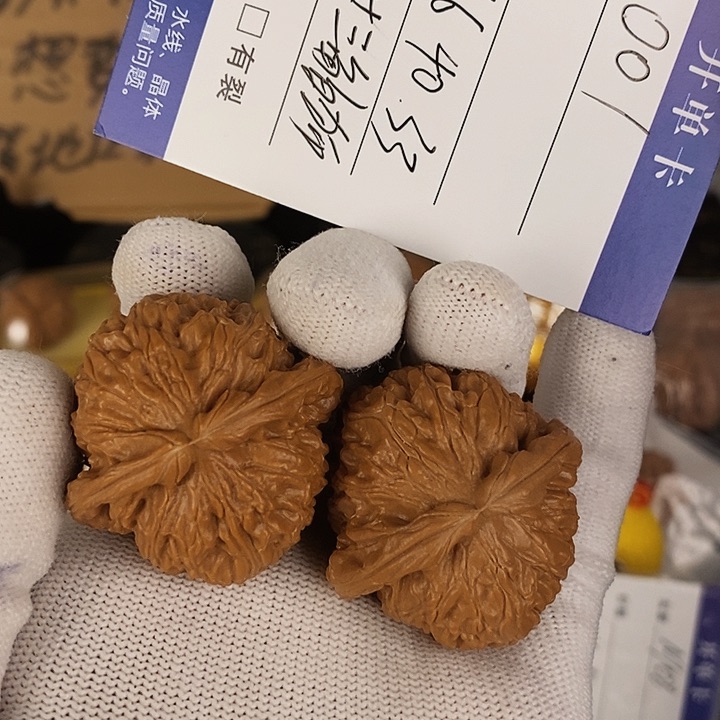 001老树三角球白狮子尺寸40