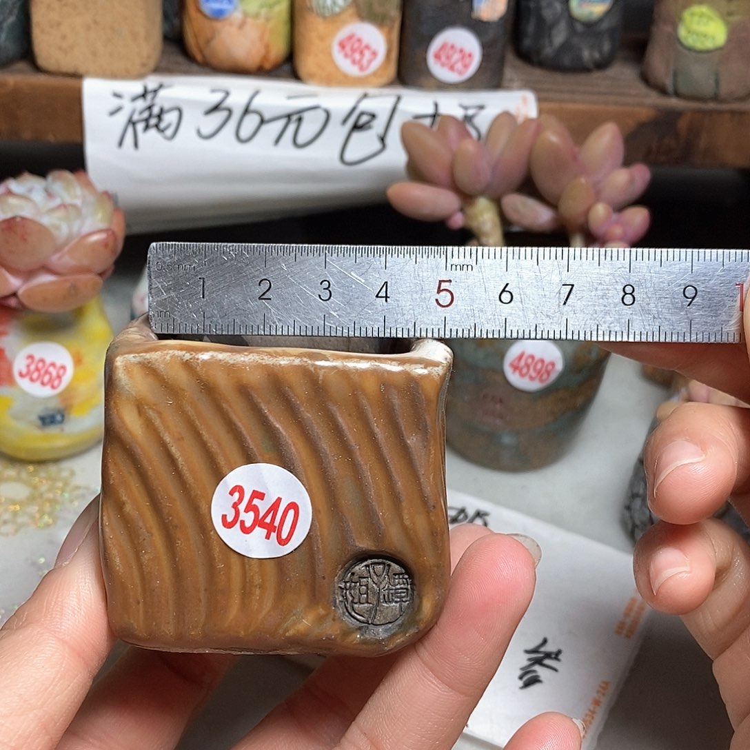 红陶拍5送一个小