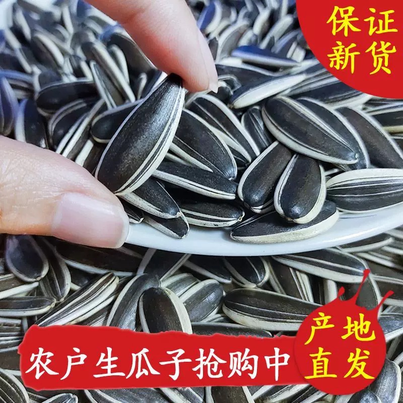 新货生葵花子原味瓜子新鲜生葵瓜子新鲜葵花籽批发2斤装/包邮