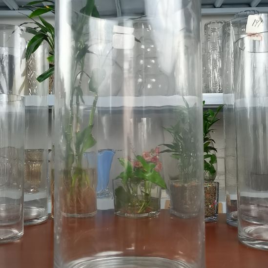 玻璃昌达玻璃直筒高度40口径20