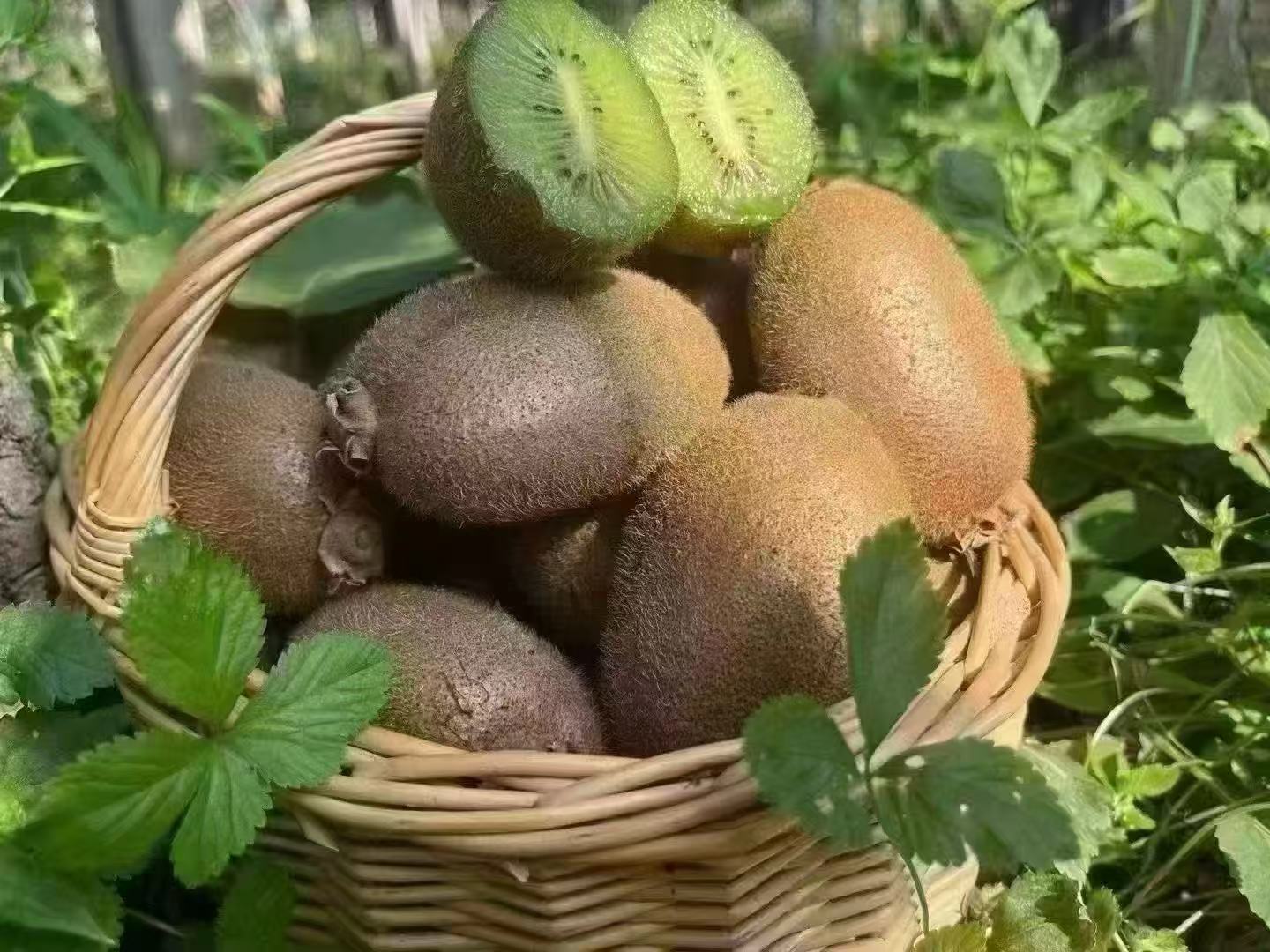 陕西正宗徐香猕猴桃新鲜绿心奇异果应季水果香甜多汁中果