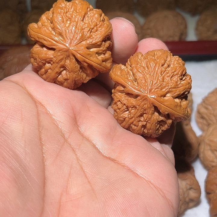 木42➕精品球筋。     