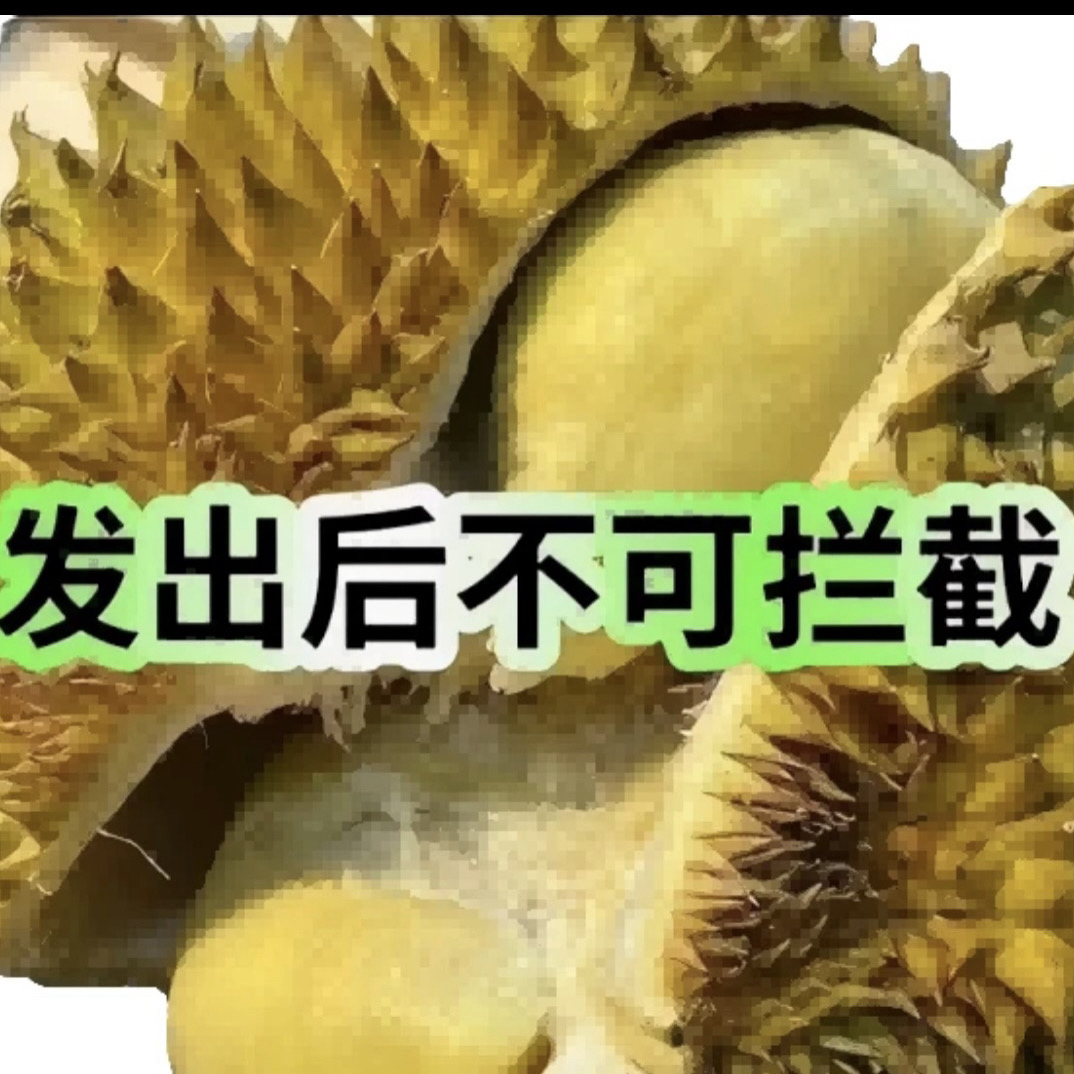 2号金枕榴莲液氮榴莲一物一拍金枕泰王国