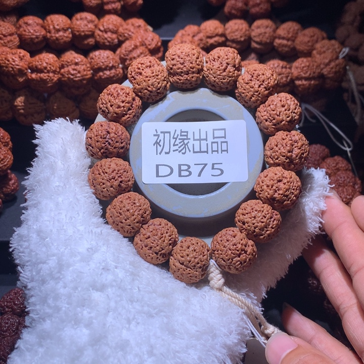 金刚菩提吊坠21尺梁泰森1号定制