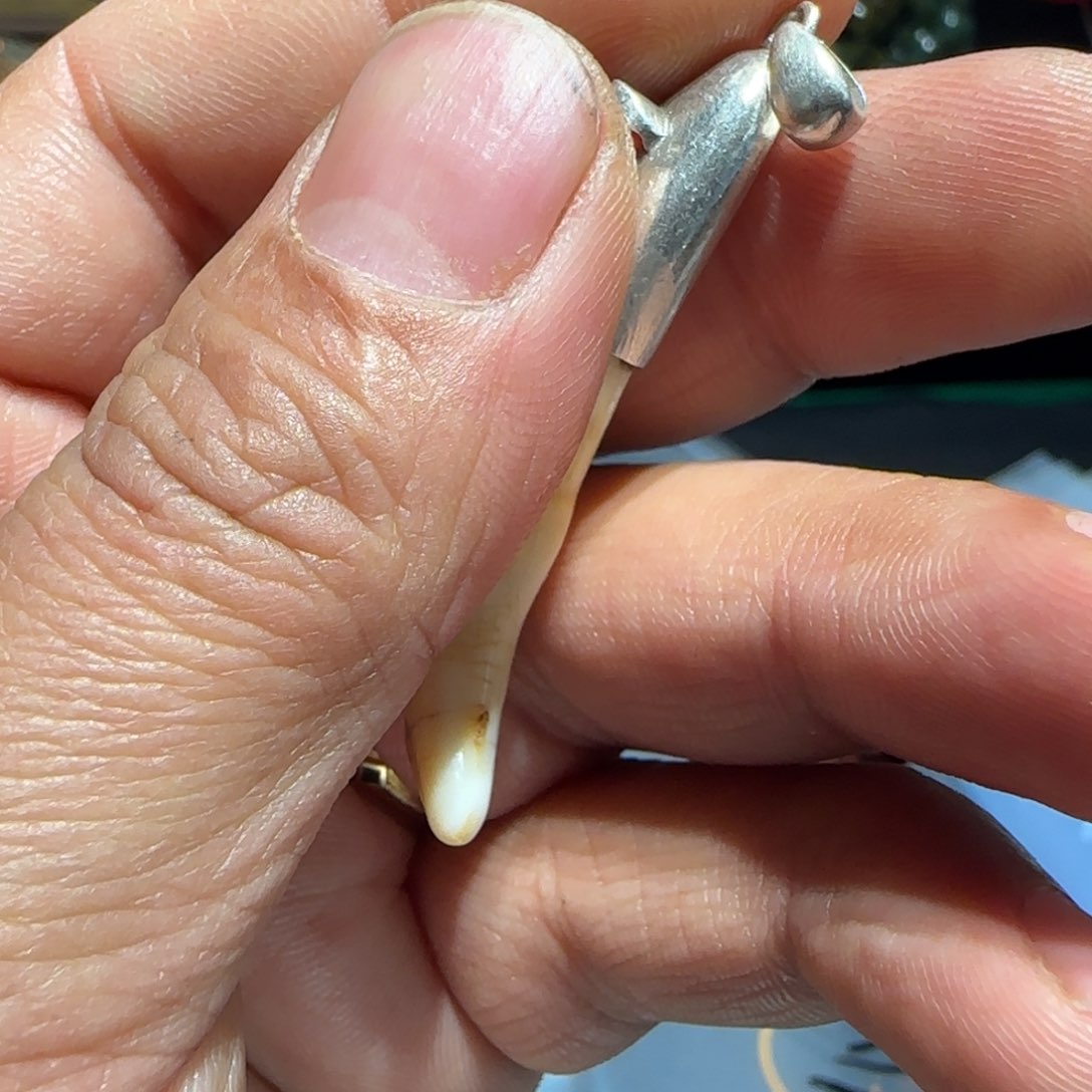 老老老老老老老老老老