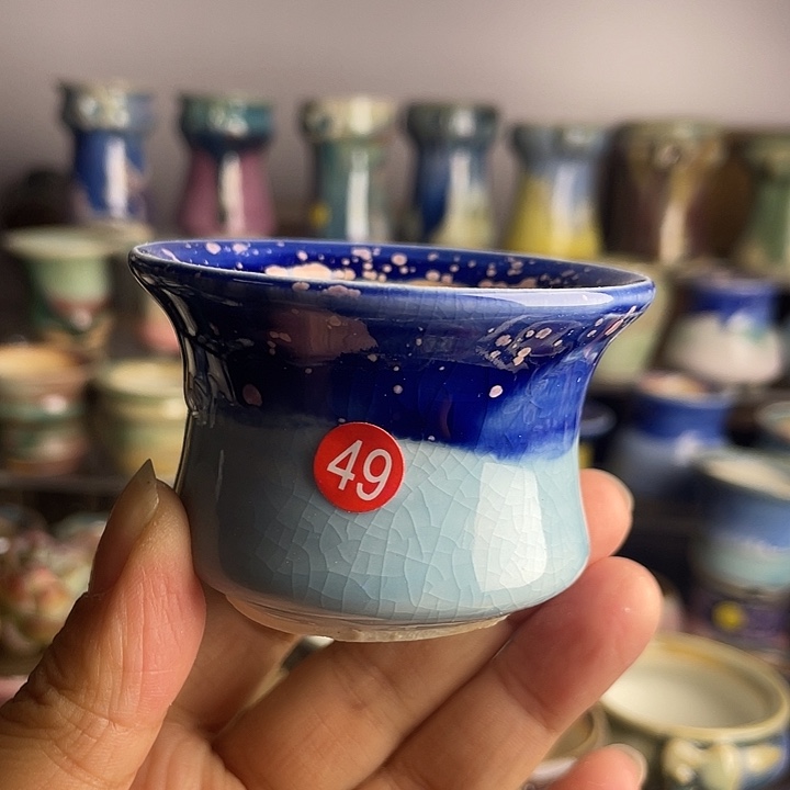 满 28包邮，凑单凑单49口5