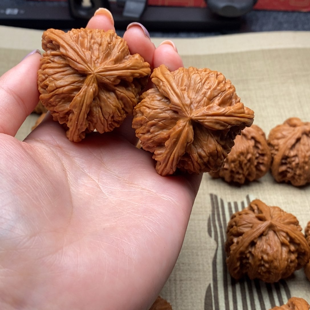 钒*白狮子1111111122222