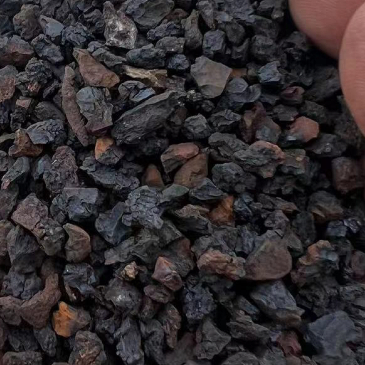 【郭峰专属】桦树茸黑晶颗粒散装