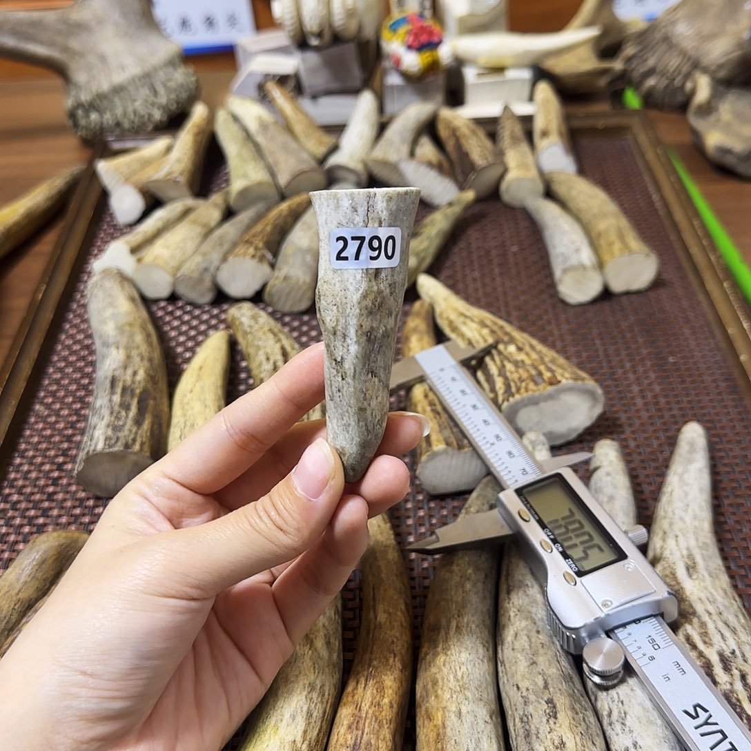 手串/手链鹿骨2790角尖