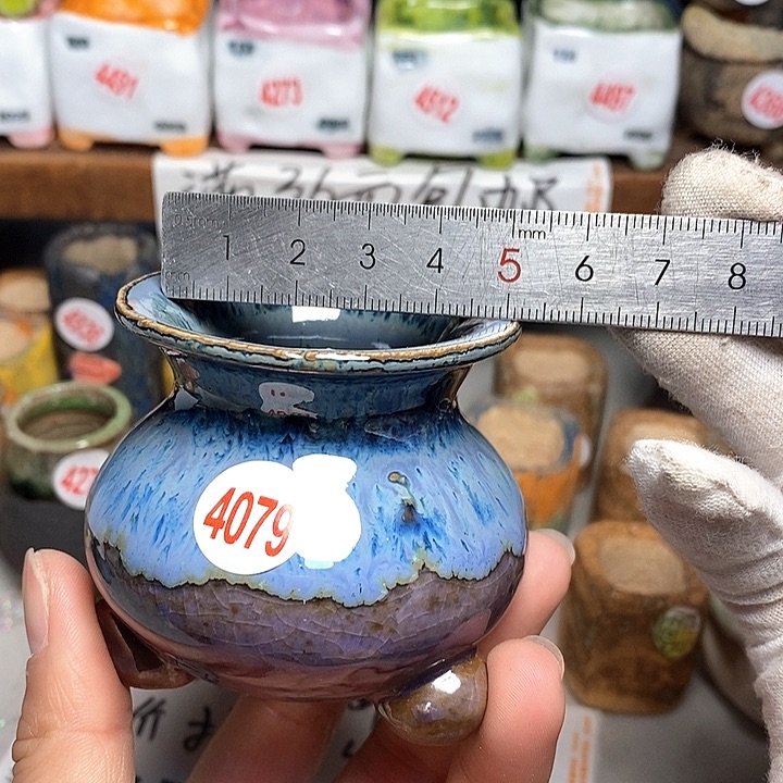 红陶拍5送一个小