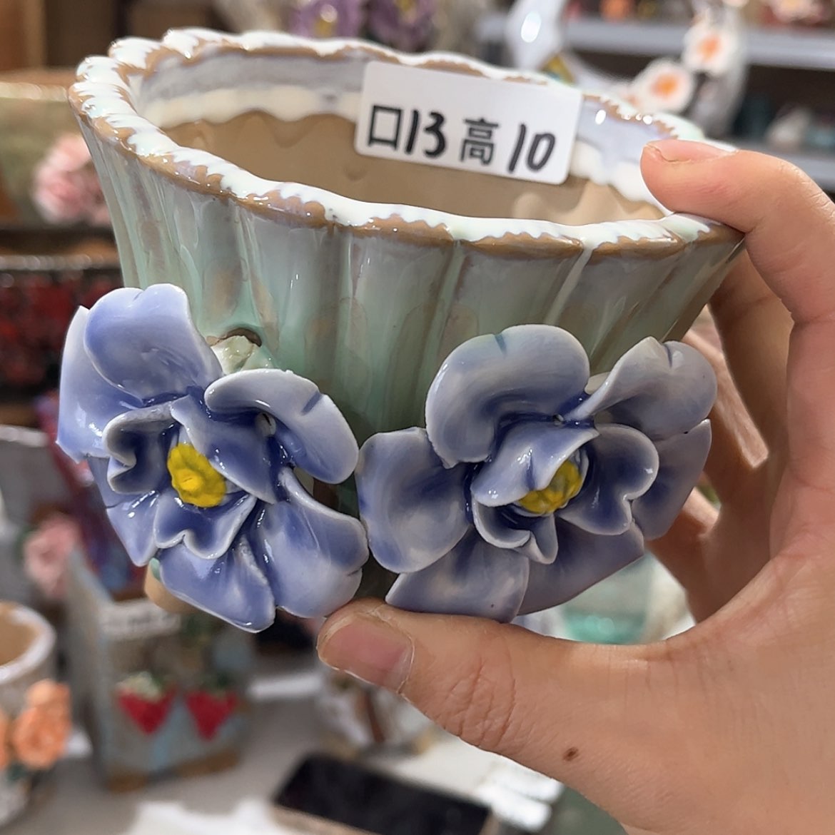 【闪购商品】红陶福利