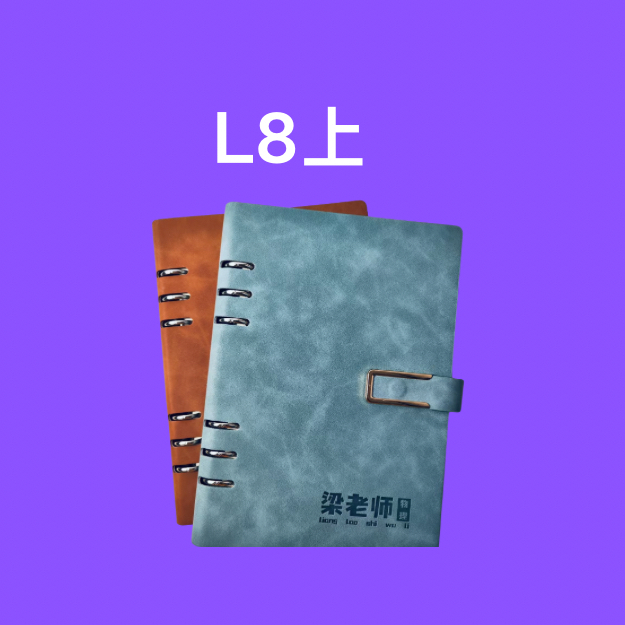 梁老师专属笔记本L8上