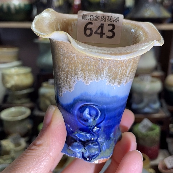 狼盆内口径5高度7