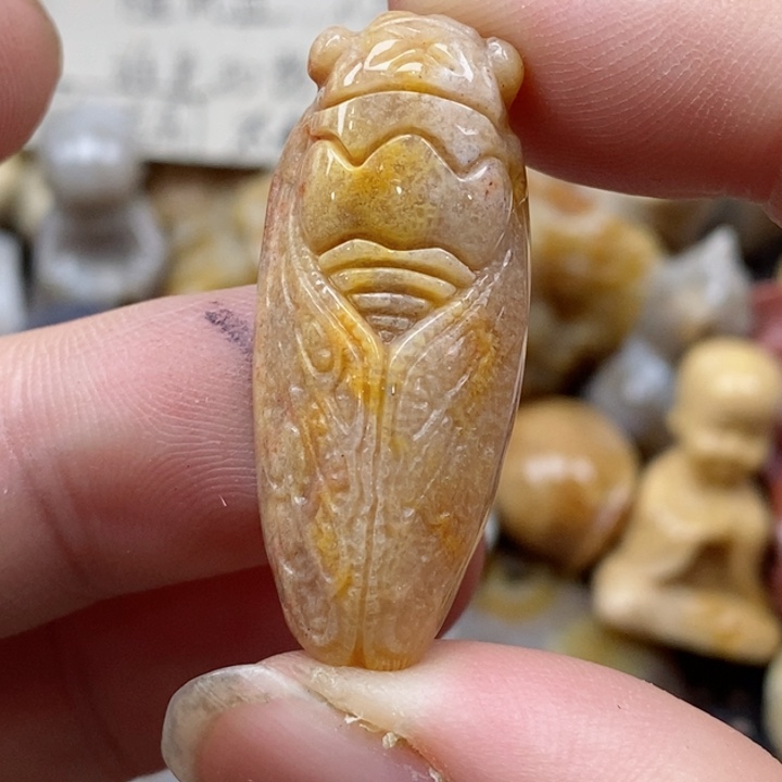 颈饰未镶嵌硅化珊瑚（珊瑚玉）小