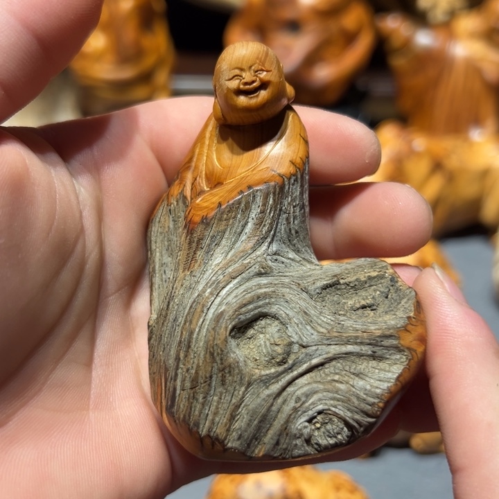 柏木（崖柏）点点关注，感谢分享