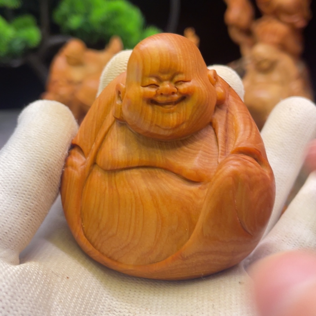 柏木太行崖柏陈化乐乐