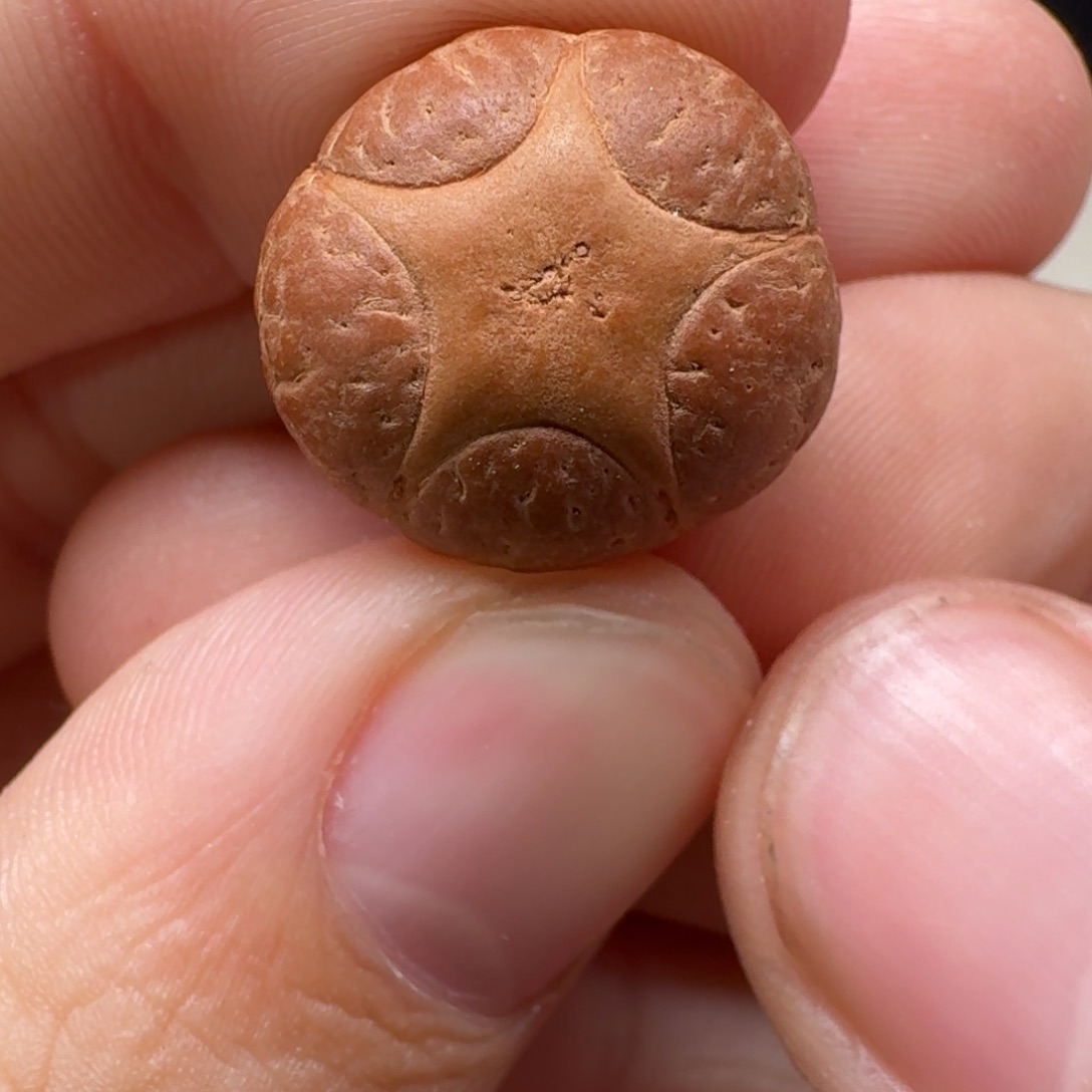 吊坠凤眼菩提19/14全品大眼5星福利