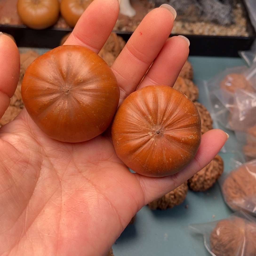 极***光吊坠文玩核桃风流果12