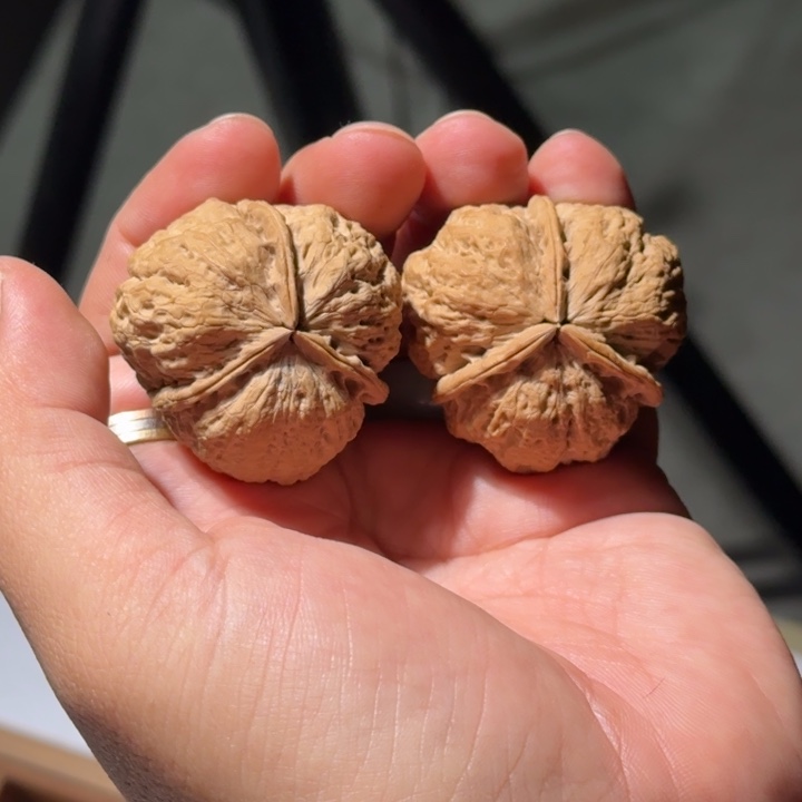 把件文玩核桃999号八宝蟾王三棱