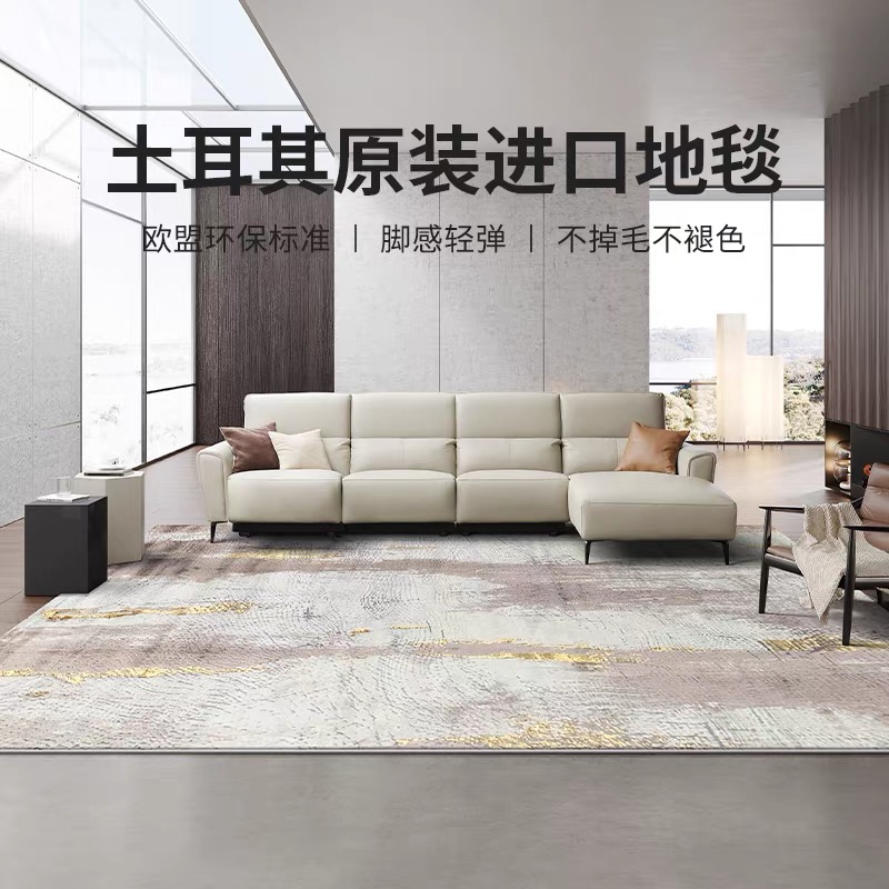 北欧现代土耳其进口地毯客厅立体浮雕超柔亲肤沙发客厅卧室床边毯