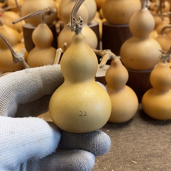 文玩葫芦 完美主义者 慎拍22
