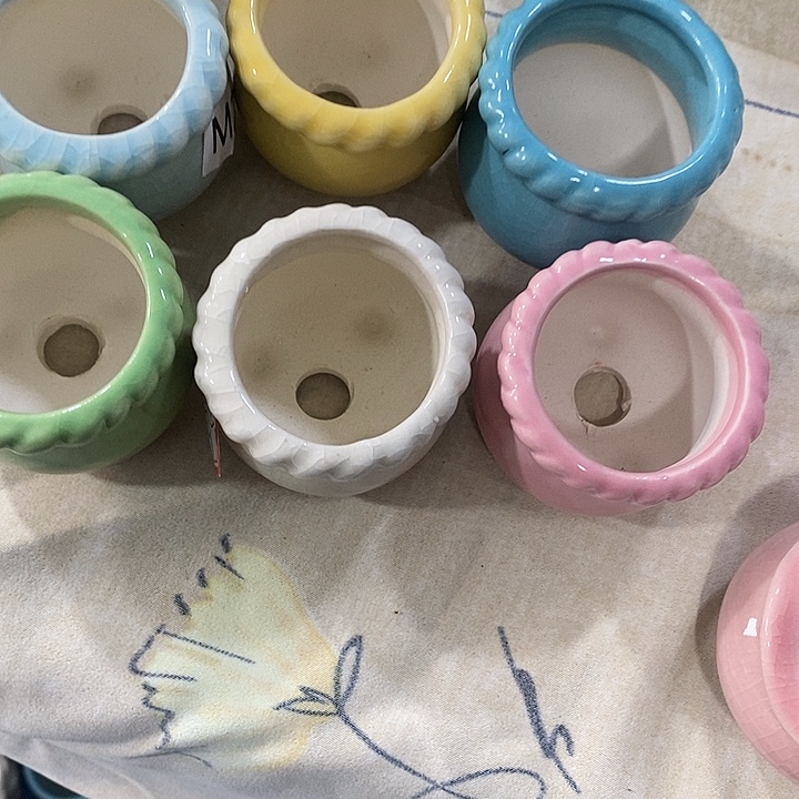 花盆抢购清货马上开始