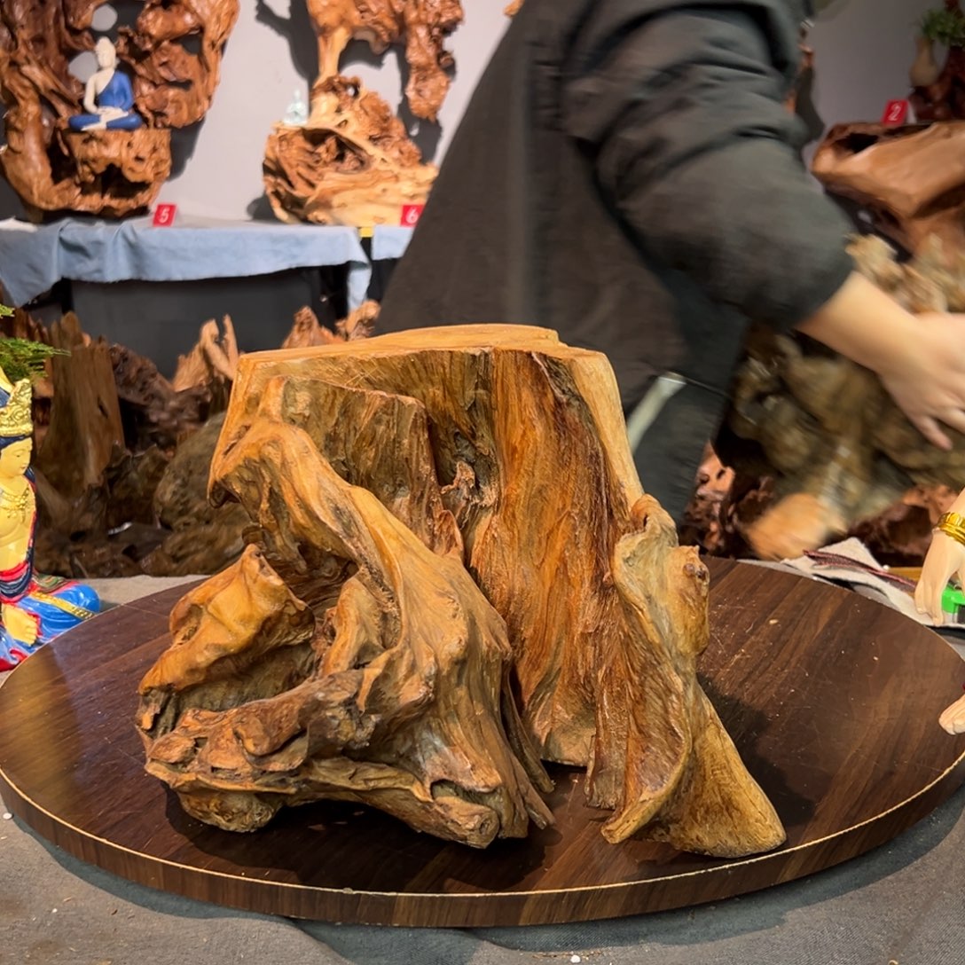 点***春香杉木028aaaaaaaaaas