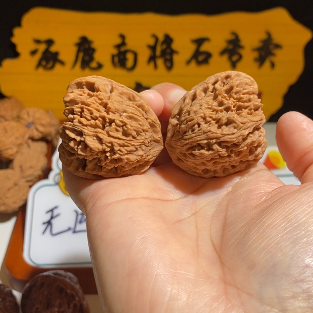 小***壳大叶紫檀（黑酸枝木类）