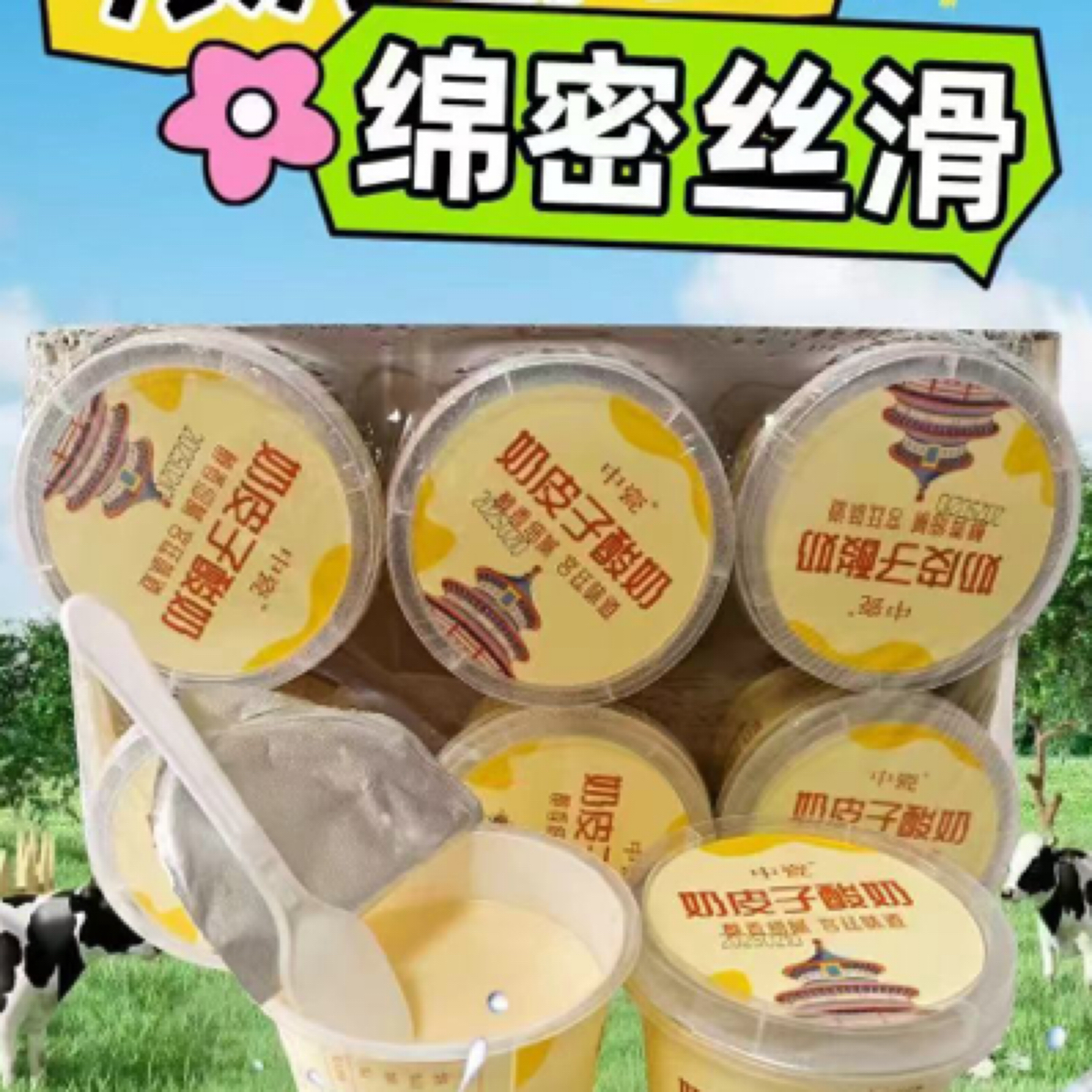 奶皮子酸奶一打6盒
