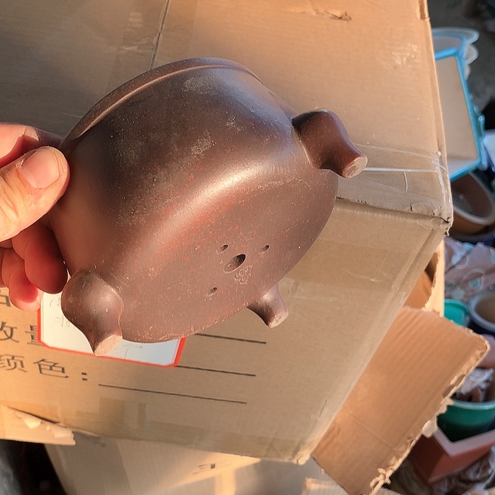 紫砂哈哈真的是太给力太