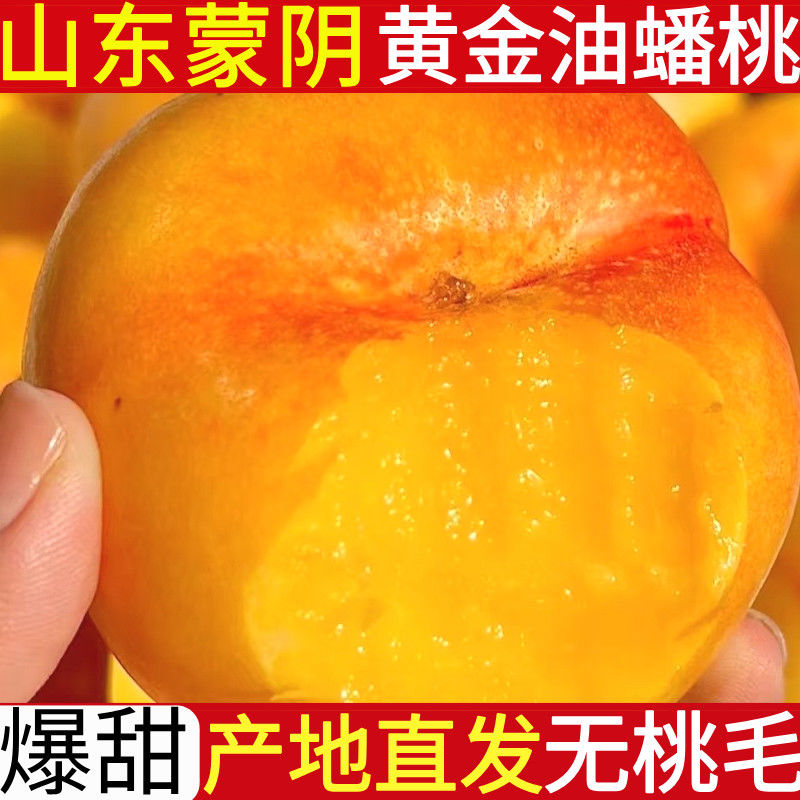 【书记送半斤】山东彩虹油蟠桃山东省