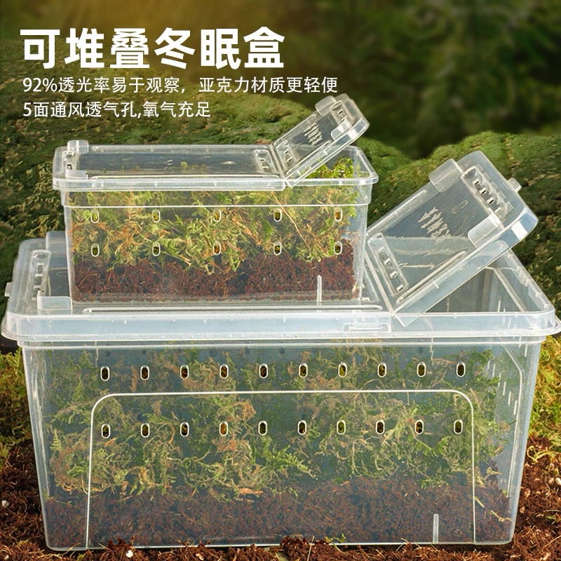乌龟冬眠箱专用椰土爬宠饲养盒过冬神器苔藓乌龟缸用品