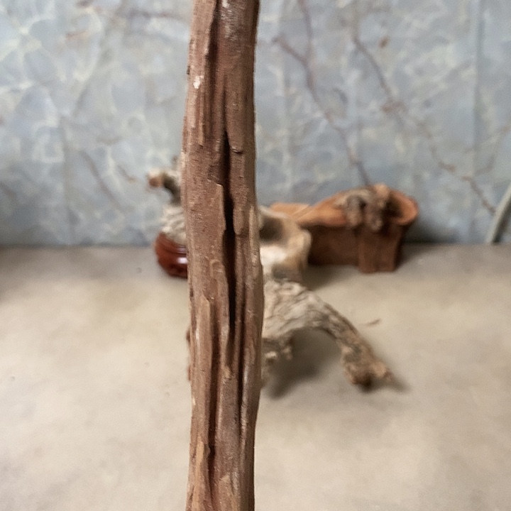 骑***驴大叶紫檀（黑酸枝木类）